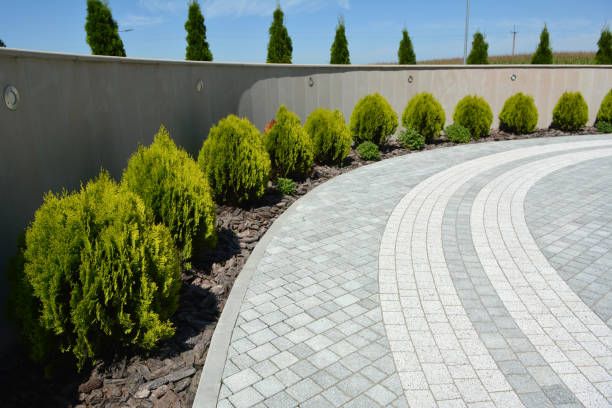 Best Paver Driveway Replacement  in Fifth Street, TX